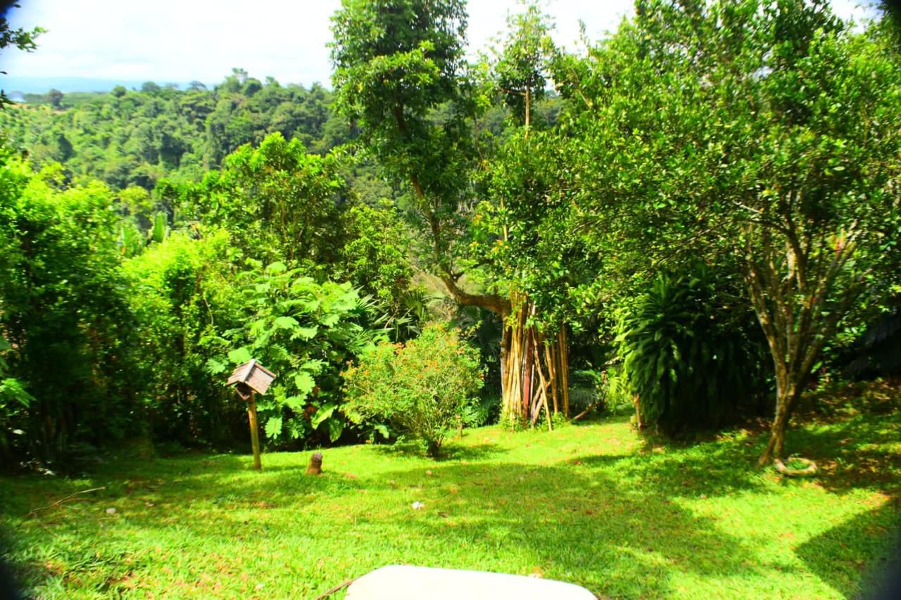 Amazing House with Canyon View, Pool, and Jacuzzi in Cerritos, Pereira. — imagen 1