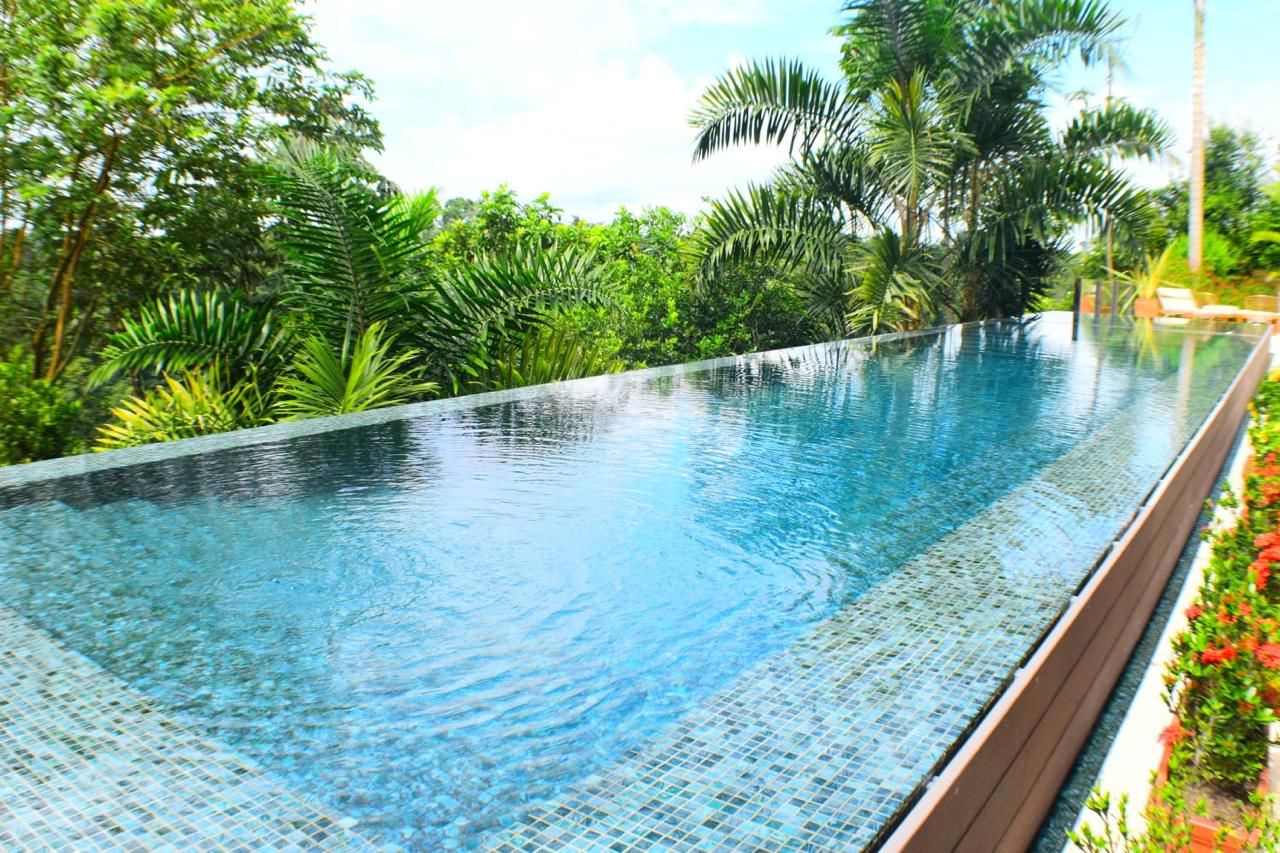 Amazing House with Canyon View, Pool, and Jacuzzi in Cerritos, Pereira — imagen 3