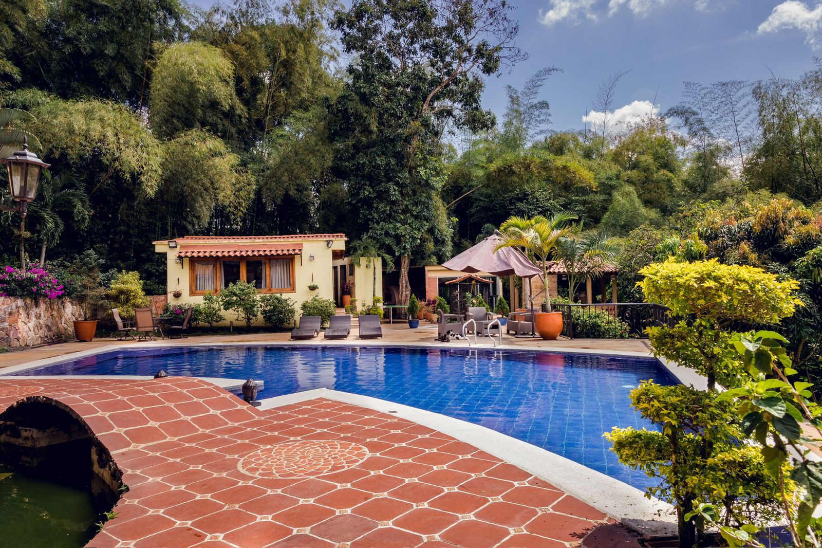 Unique House with Large Lot, Pool and Privacy in Exclusive Cerritos — imagen 1
