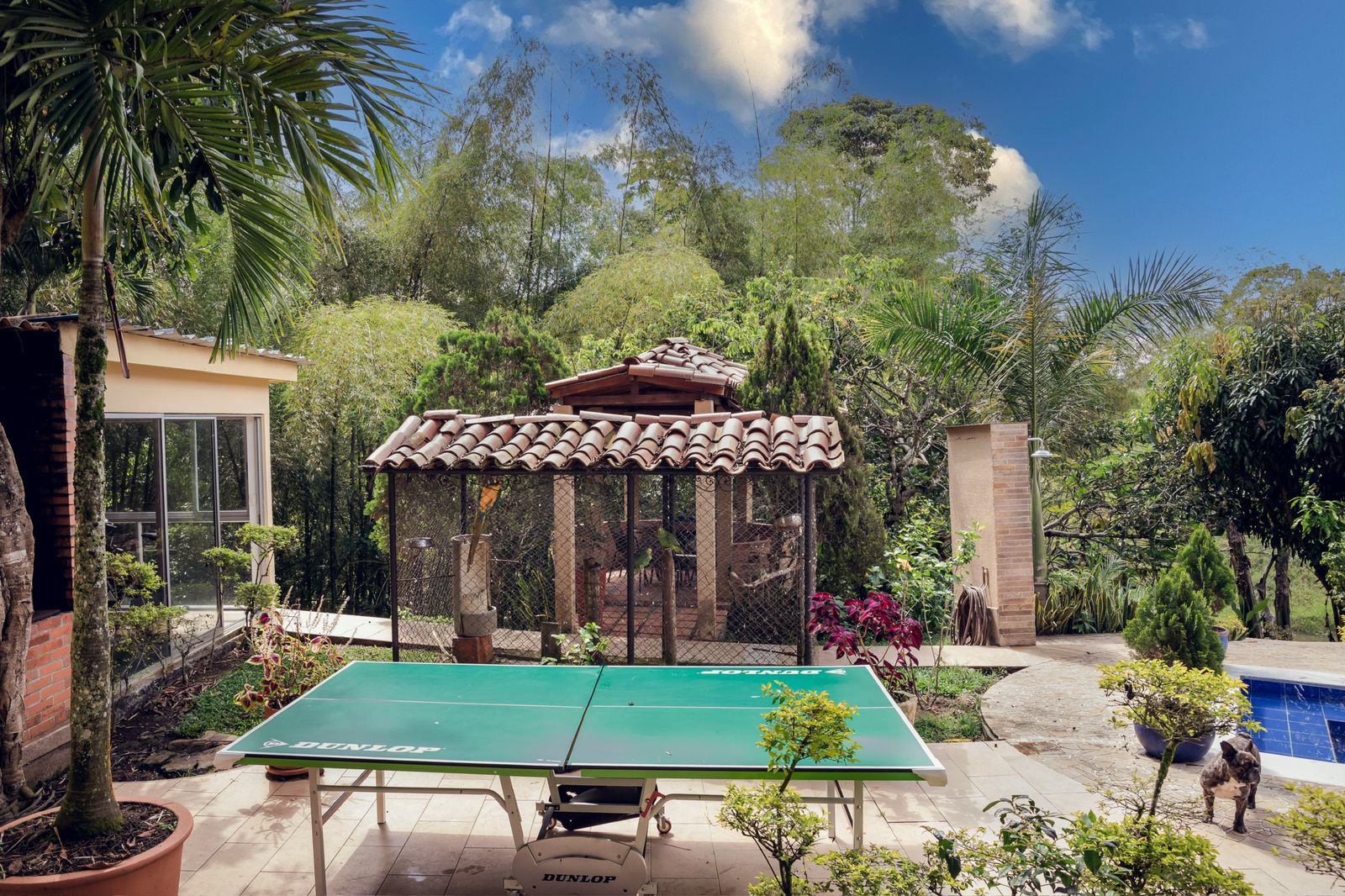 Unique House with Large Lot, Pool and Privacy in Exclusive Cerritos — imagen 3
