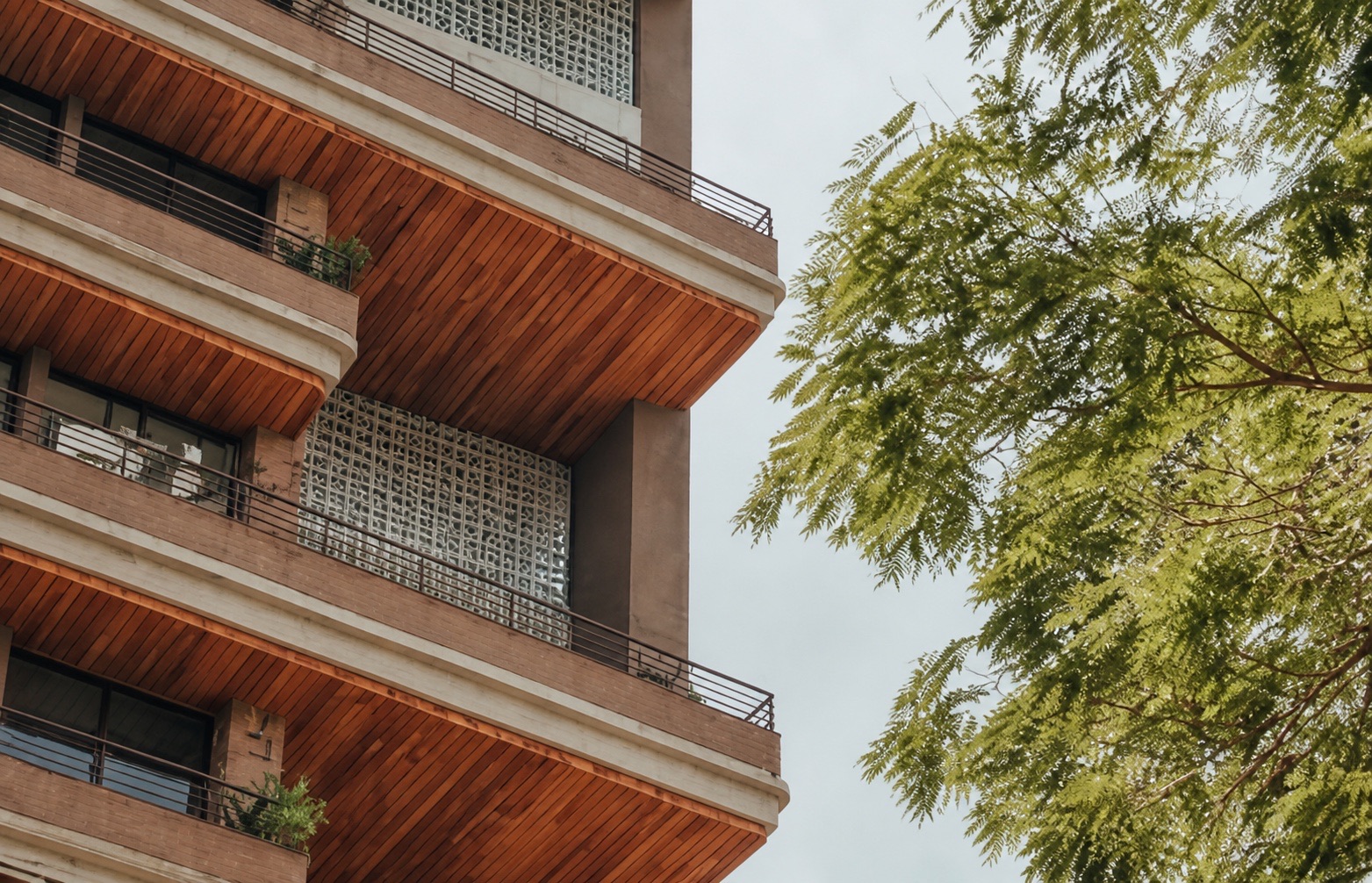Contemporary residential architecture framed by trees